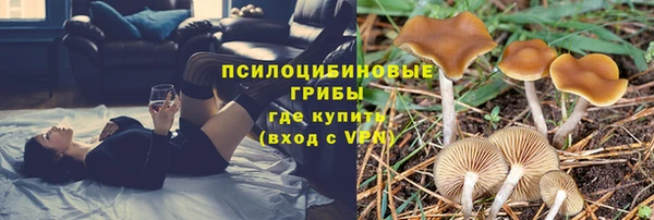 шишки Богданович